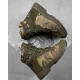 Тактичні черевики ALPINE CROWN MILITARY PHANTOM мультикам