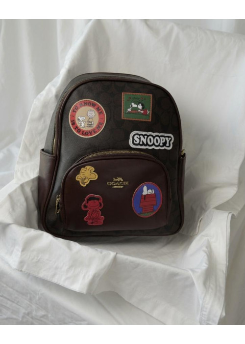 Жіночий рюкзак Coach brown ВТ6264
