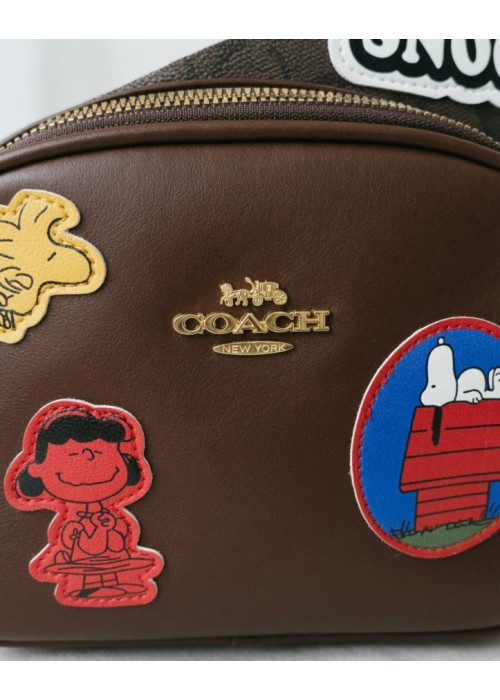 Жіночий рюкзак Coach brown ВТ6264